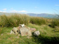 Ponsonby Fell